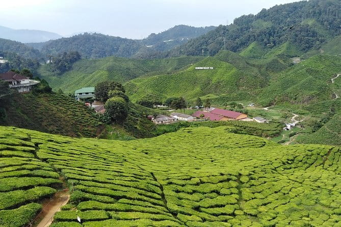 2 Days Private Vehicle With Driver -Explore Malaysia By Your Own Plans - Who this private KL tour fits best