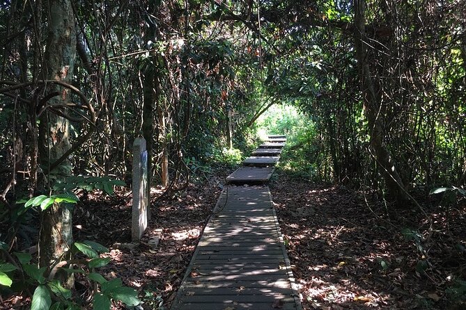 4-Day Jungle Experience in Taman Negara from Kuala Lumpur - Why Taman Negara from Kuala Lumpur feels different