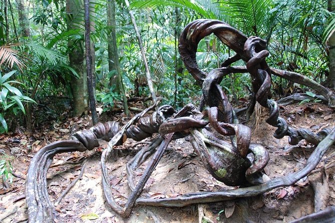 4-Day Jungle Experience in Taman Negara from Kuala Lumpur - Day 4: Calm return to Kuala Lumpur (and what to do with luggage)