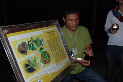 4-Day Jungle Experience in Taman Negara from Kuala Lumpur - Getting from Kuala Lumpur to the jungle: Day 1 in plain terms