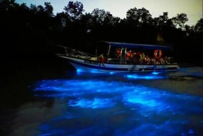 Amazing Fireflies With Blue Tears Watching & Kuala Selangor Tour - The meeting point and how the start feels in the real world