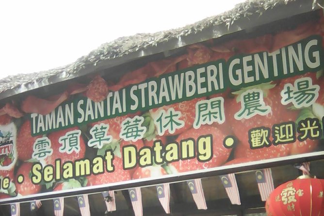Batu Caves and Genting Highland Tour - Awana Skyway cable car and Genting Highlands: planning your time at the summit