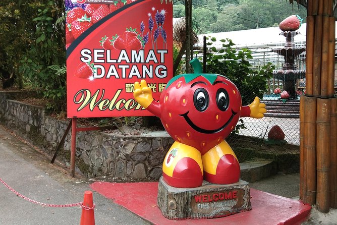 Batu Caves and Genting Highland Tour - Price and value: what’s included versus what you must budget