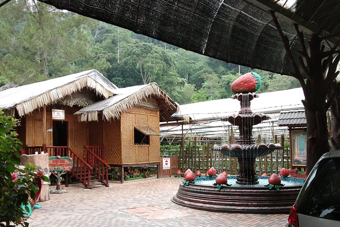 Batu Caves and Genting Highland Tour - The small details that make the day work