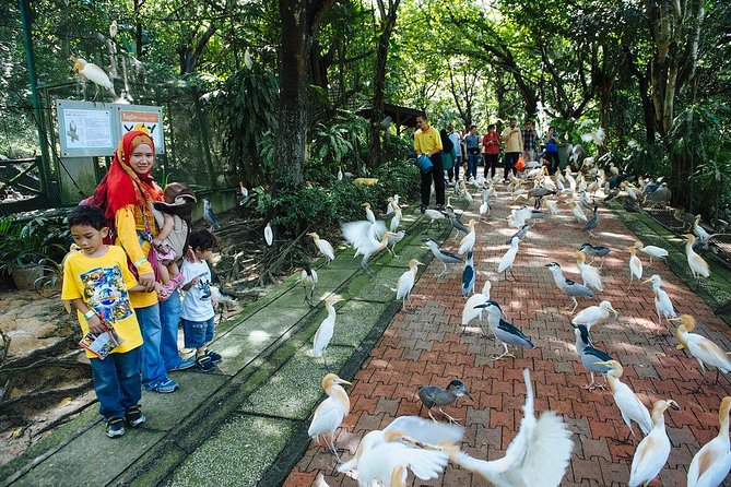 Bird Park & Butterfly Farm Nature Include All Entrance Tour From Kuala Lumpur - Timing, Pacing, and What to Bring