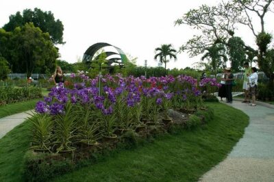 Bird Park & Butterfly Farm Nature Include All Entrance Tour From Kuala Lumpur - Kuala Lumpur Bird Park: Birds Up Close in a Lake Gardens Setting