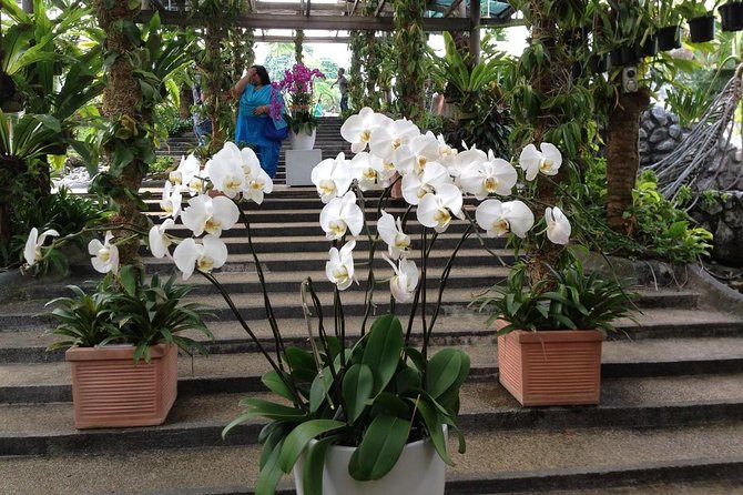 Bird Park & Butterfly Farm Nature Include All Entrance Tour From Kuala Lumpur - Who This Tour Fits Best