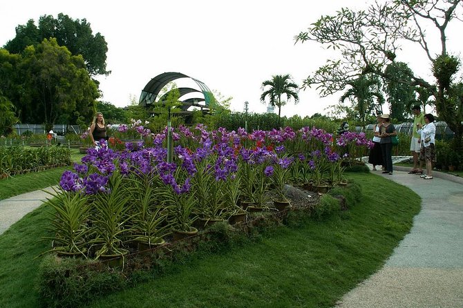 Bird Park & Butterfly Farm Nature Tour From Kuala Lumpur - Where This Tour Fits in Your Kuala Lumpur Day