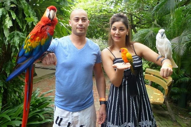 Bird Park & Butterfly Farm Nature Tour From Kuala Lumpur - The 3.5-Hour Timing: What Moves Fast, What Needs a Pause
