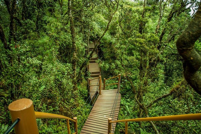 Cameron Highland Day Tour from Kuala Lumpur - Blowpipe Demonstration at an Aborigines Village: Cultural Learnings With Hands-On Energy