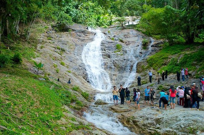 Cameron Highland Day Tour from Kuala Lumpur - BOH Tea Plantation and Tea Factory: Tea Culture You Can Actually See