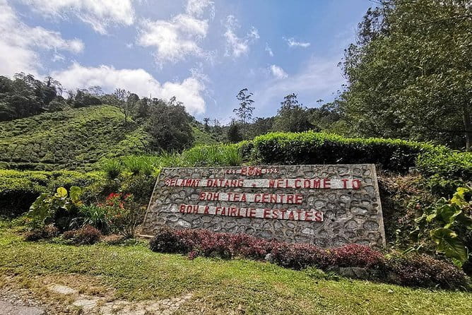 Cameron Highland Day-Trip from Kuala Lumpur - Why this Cameron Highlands day trip feels worth the ride