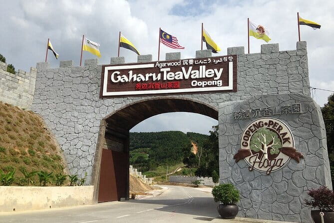 Cameron Highland Full Day Tour from KL City Private Tour - Lunch, Timing, and Comfort for a 12-Hour Day