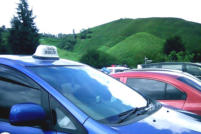 Cameron Highland Private Day Tour - How the Cameron Highlands private day runs from Kuala Lumpur