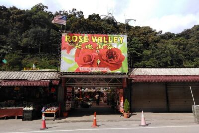 Cameron Highland Private Day Tour - The ride to Lata Iskandar (and why the first stop sets the mood)