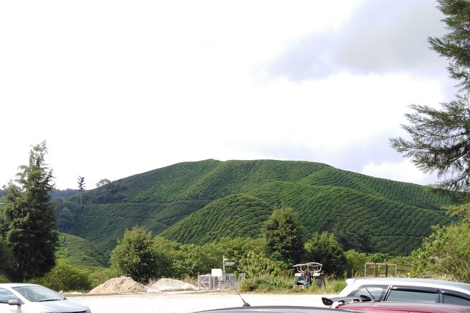 Cameron Highland Private Day Tour - Brinchang markets and strawberry-farm time (where pacing can make or break it)