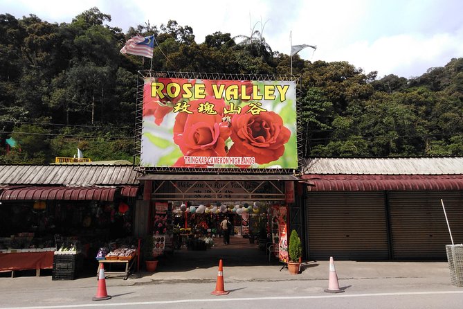 Cameron Highland Private Day Tour - Kea Farm Market and Ee Feng Gu Bee Farm: quick stops, big variety