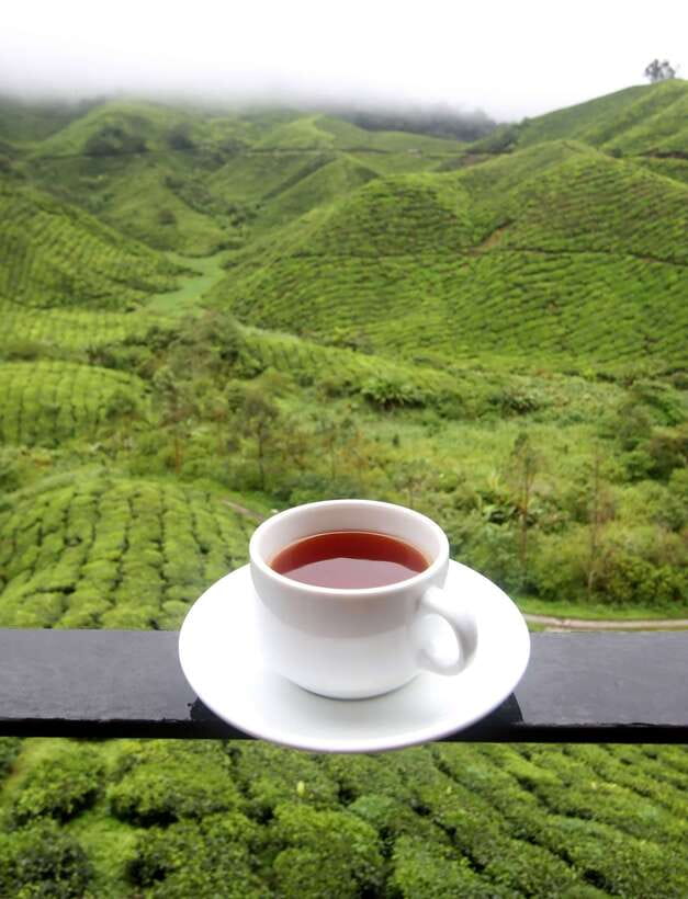 Cameron Highlands 1 Day Tour from Kuala Lumpur - Bharat Tea Plantations and Tea-Factory Visits: Best for View Lovers