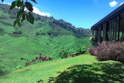 Cameron Highlands 3 Days 2 Night Tours Private (per Vehicle) - Day 1: Lata Iskandar Waterfall and Cameron Valley Tea Without the Rush