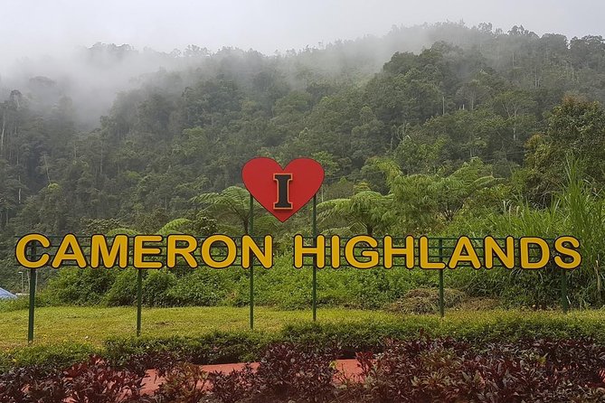 Cameron Highlands Amazing Day Trip Tour with Local Lunch - Key things to know before you go