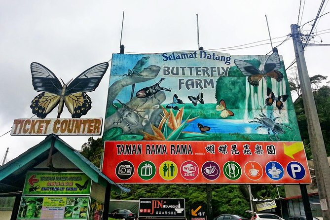 Cameron Highlands Amazing Day Trip Tour with Local Lunch - Price and logistics: what you’re paying for at $129