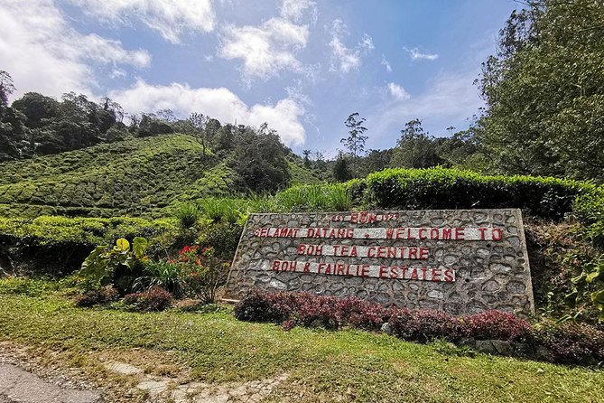 Cameron Highlands Full-Day Nature Tour - Getting there comfortably: pickup, private group, and driver style