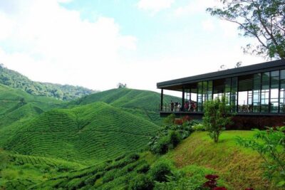 Cameron Highlands Full-Day Nature Tour - Stop 1: Lata Iskandar waterfall and the roadside stalls