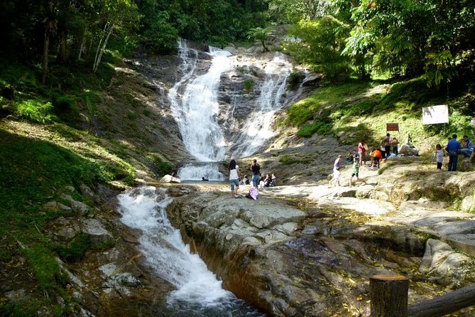 Cameron Highlands Full-Day Nature Tour - Cactus Valley: plant variety you can shop, with one catch