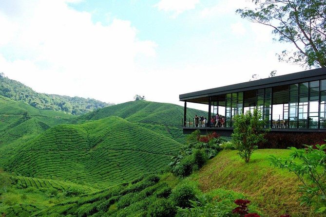 Cameron Highlands Full-Day Nature Tour - Stop 1: Lata Iskandar waterfall and the roadside stalls