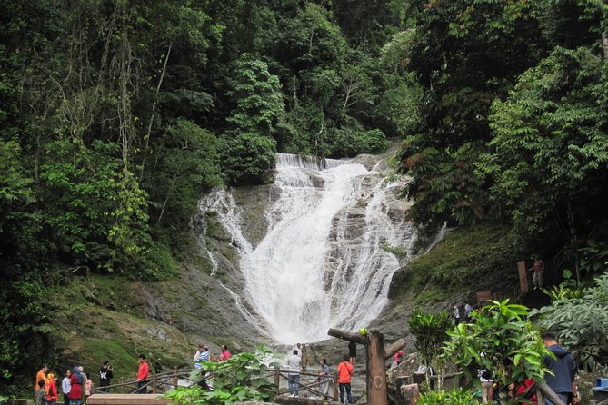 Cameron Highlands, Garden of Nature Full Day Private Guided Tour - Getting out of Kuala Lumpur: the 7:30am start and private comfort