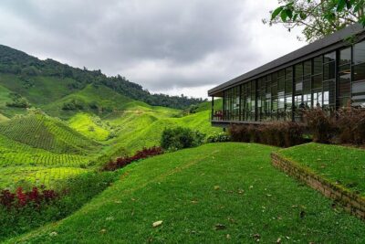 Cameron Highlands One Day Trip from Kuala Lumpur Privately Organised - Your Stop-by-Stop Plan: Lata Iskandar to BOH Viewpoint