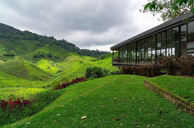 Cameron Highlands One Day Trip from Kuala Lumpur Privately Organised - Tips for a Tight Schedule (Without Overthinking It)