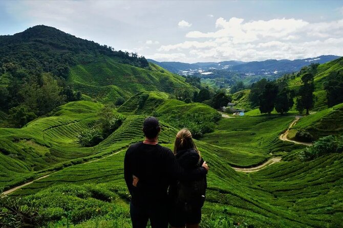 Cameron Highlands Tour from Kuala Lumpur - Lata Iskandar Waterfall Stop: A Quick Nature Break
