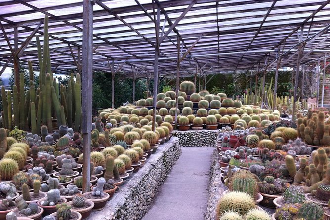 Cameron Highlands Tour From Kuala Lumpur (Private Tour) - Brinchang, strawberry farms, and the traffic-routing note