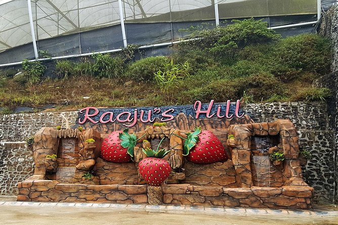 Cameron Highlands Tour From Kuala Lumpur (Private Tour) - Lata Iskandar waterfall: the quick stretch before the highland stops