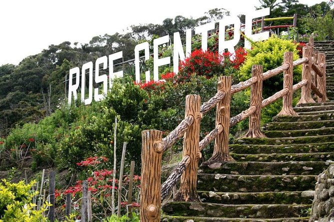 Cameron Highlands Tour on Private Basis - Butterfly Park and the Insect Sanctuary Side of Nature