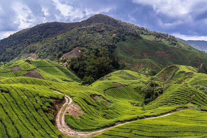 Cameron Highlands Tour on Private Basis - Lata Iskandar Water Falls Photo Stop: A Quick Nature Hit