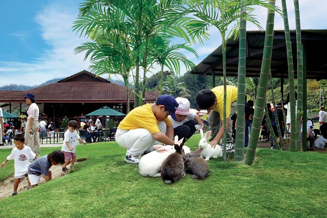 Colmar Tropicale and Batu Caves Day Trip (SIC - Join In Tour) - Who this day trip suits (and who should skip it)