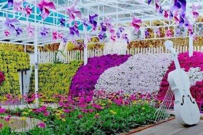 Elevate Your Senses: A Day of Wonders in Cameron Highlands! - Your day plan in plain English (7 stops, ~12 hours)