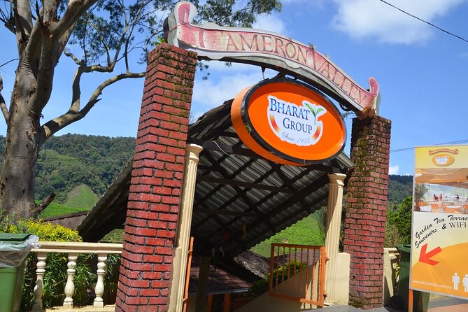 Elevate Your Senses: A Day of Wonders in Cameron Highlands! - Raju Hill Strawberry Farm: a short stop that still feels fun