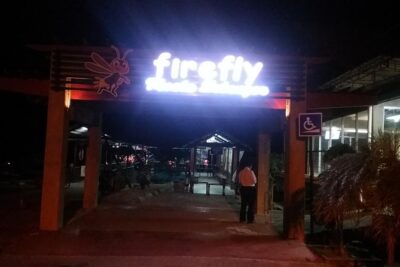 Fireflies and Kuala Selangor Tour Including Dinner - Bukit Melawati Fort: colonial-era structure plus monkey sightings