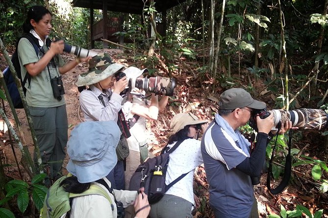 Fraser's Hill Bird-Watching & Nature Sightseeing Tour from Kuala Lumpur - Stop 2: Taman Awam Bukit Fraser Trail and the Best Chance to Spot Birds