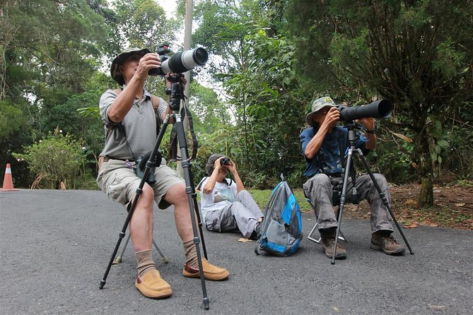 Fraser's Hill Bird-Watching & Nature Sightseeing Tour from Kuala Lumpur - Pickup, Timing, and What 7–8 Hours Actually Feels Like