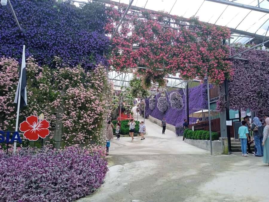 From Kuala Lumpur: Cameron Highlands Private or Join In Tour - Key things to know before you go