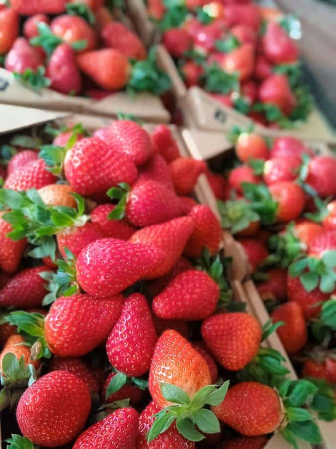 From Kuala Lumpur: Cameron Highlands Private or Join In Tour - Stop-by-stop: the Cameron Highlands highlights you’ll actually feel