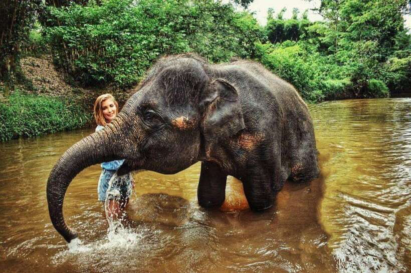 From Kuala Lumpur: Elephant Sanctuary Guided Tour - Pahang Waterfalls and Swimming: Pack for Wet Weather, Bugs, and Mud