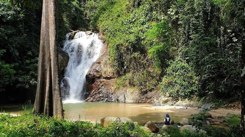 From Kuala Lumpur: Elephant Sanctuary Guided Tour - Should You Book This Elephant Sanctuary and Waterfall Day Trip?