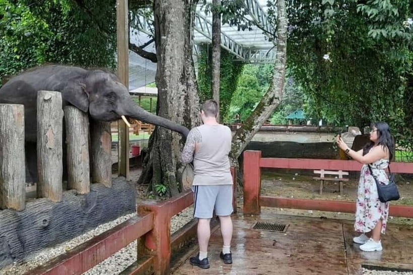 From Kuala Lumpur: Kuala Gandah & Batu Caves Day Trip - Quick takeaways