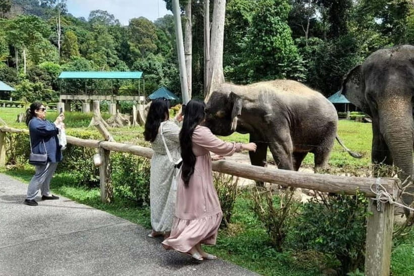 From Kuala Lumpur: Kuala Gandah & Batu Caves Day Trip - Batu Caves first: how to make the most of your hour
