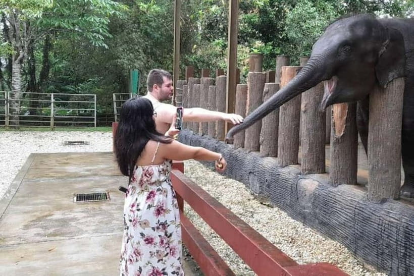 From Kuala Lumpur: Kuala Gandah & Batu Caves Day Trip - Getting there and back from Kuala Lumpur: the 6-hour pacing